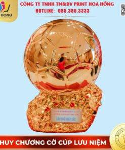 cúp lưu niệm thể thao
